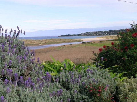A Great Ocean View Motel - Australia Accommodation 7